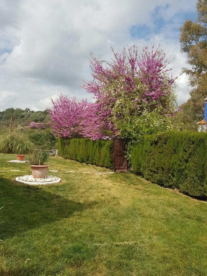 Hotel Casa Grande Constantina Dış mekan fotoğraf