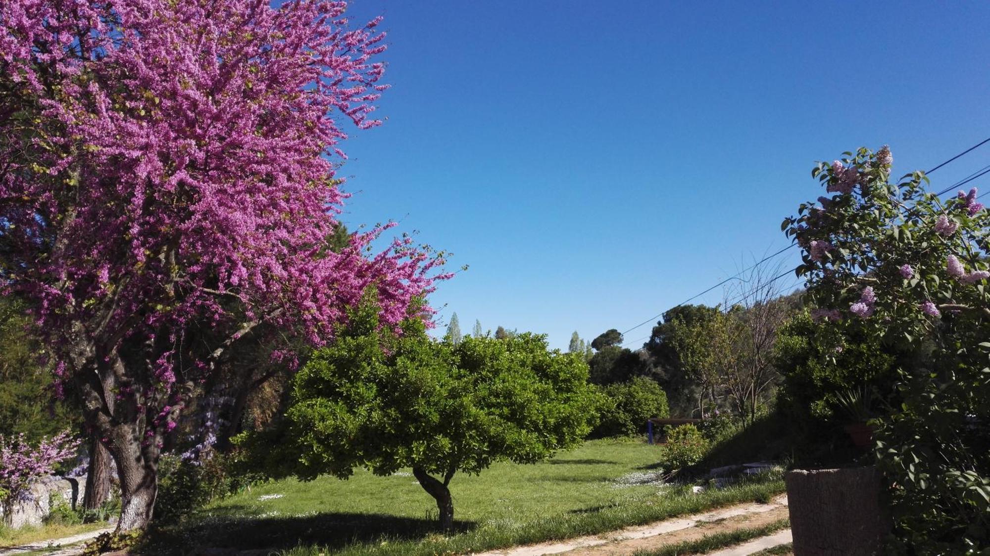 Hotel Casa Grande Constantina Dış mekan fotoğraf