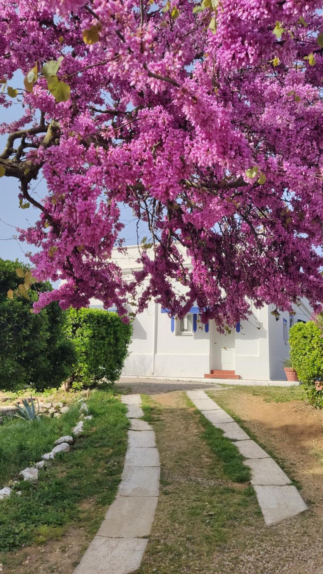 Hotel Casa Grande Constantina Dış mekan fotoğraf